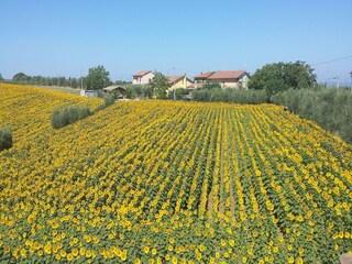 Holiday house Riccio Environment 34