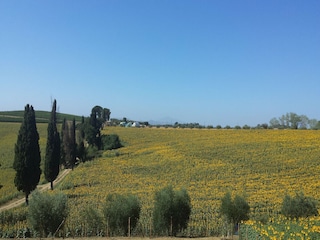 Holiday house Riccio Outdoor Recording 7