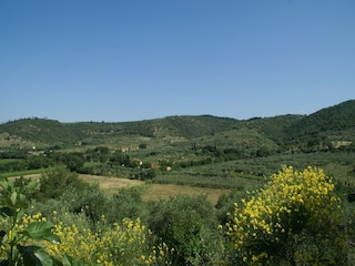 Holiday house Riccio Environment 21