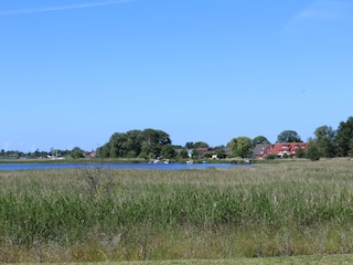 Ausblick auf den Breeger Bodden