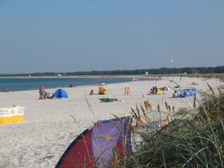 Ostseestrand