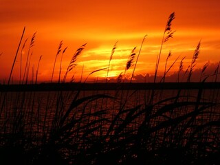 Sonnenuntergang am Bodden