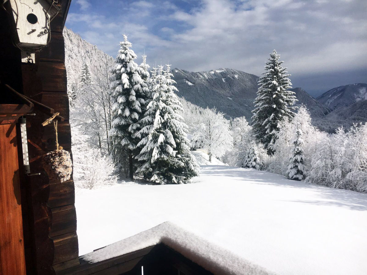 Eine tolle Aussicht auf die schneeweiße Landschaft