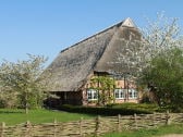 Blick auf das gemütliche Bauernhaus