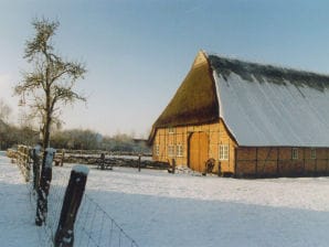 Ferienwohnung Ute von Lingelsheim - Seedorf/Lauenburg - image1