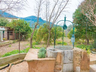 Finca Sóller Buitenaudio-opname 7