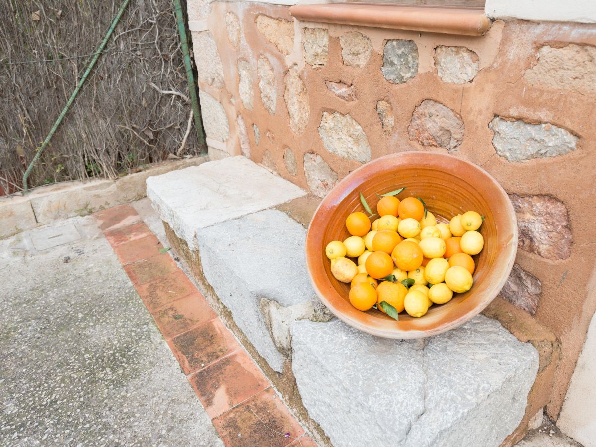 Finca Sóller Außenaufnahme 4