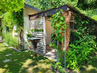 Ferienhaus Neuruppin Außenaufnahme 8