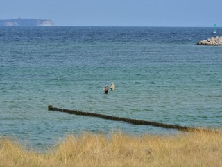 Endlich Zeit zum Angeln!