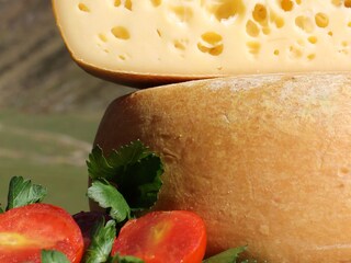 Casa per le vacanze Mühlbach in Südtirol Caratteristiche 16