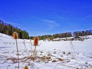 Winter Hintergschwendt