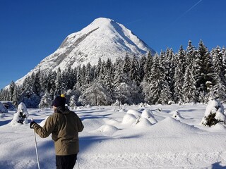 Appartamento per vacanze Leutasch Ambiente 22