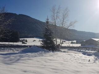 Appartamento per vacanze Leutasch Registrazione all'aperto 6