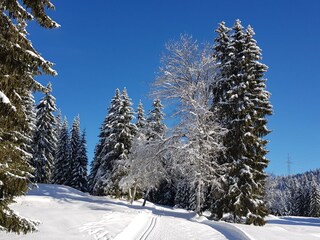 Appartamento per vacanze Leutasch Ambiente 24