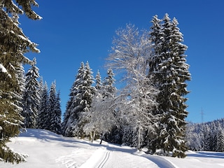 Wildmoos Langlauf