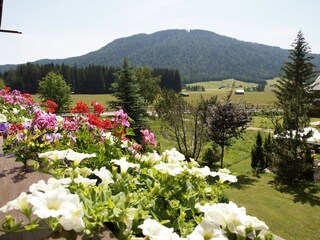 Apartamento de vacaciones Leutasch Grabación al aire libre 4