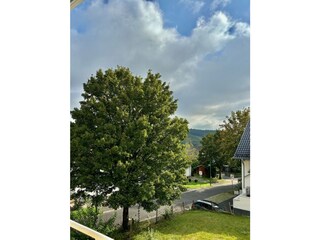 Holiday apartment Bad Neuenahr-Ahrweiler Outdoor Recording 7