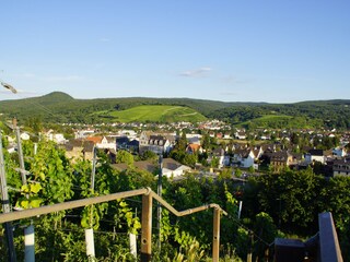 Apartamento de vacaciones Bad Neuenahr-Ahrweiler Entorno 32