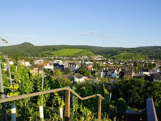 Blick vom Weinberg oberhalb Lantershofen nach Ahrweiler