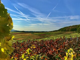 Appartamento per vacanze Bad Neuenahr-Ahrweiler Ambiente 33