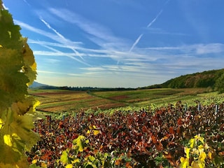 Ferienwohnung Bad Neuenahr-Ahrweiler Umgebung 33