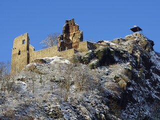 Appartamento per vacanze Bad Neuenahr-Ahrweiler Ambiente 36