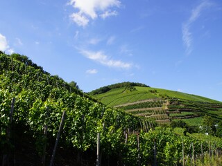 Vakantieappartement Bad Neuenahr-Ahrweiler Omgeving 25