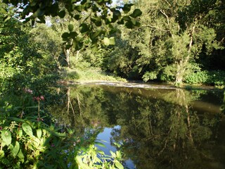 Appartamento per vacanze Bad Neuenahr-Ahrweiler Ambiente 27