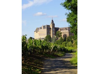 Appartamento per vacanze Bad Neuenahr-Ahrweiler Ambiente 28