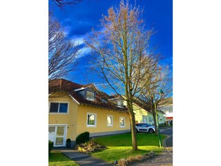 Holiday apartment Bad Neuenahr-Ahrweiler Outdoor Recording 4
