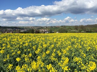 Appartement de vacances Bad Neuenahr-Ahrweiler Environnement 31