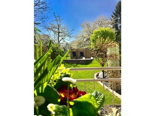 Holiday apartment Bad Neuenahr-Ahrweiler Outdoor Recording 5