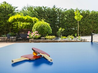 Villa Nedescina Ambiente 21