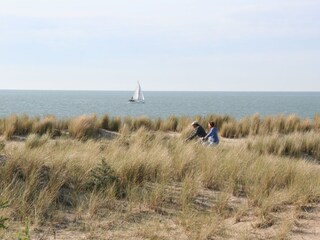 Ferienwohnung Nieuwvliet Umgebung 15