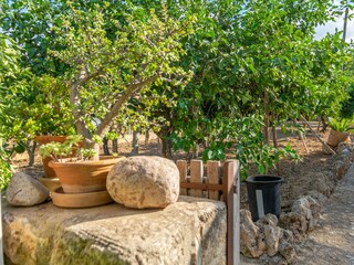 Villa Sineu Registrazione all'aperto 20