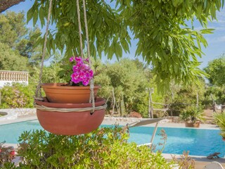 Villa Sineu Registrazione all'aperto 12