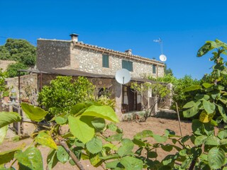 Villa Sineu Registrazione all'aperto 13