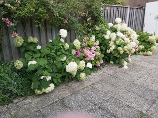 Ferienwohnung Vrouwenpolder Außenaufnahme 7