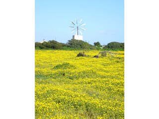 Villa Costa de la Calma Ambiente 24