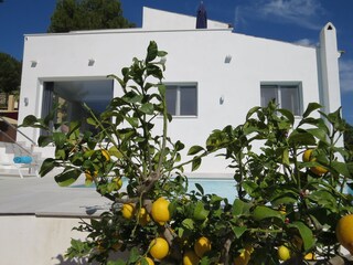 Villa Costa de la Calma Registrazione all'aperto 3