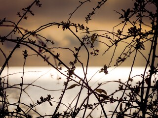 Natur pur.....