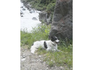 Appartamento per vacanze Uttendorf Ambiente 33