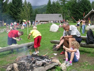 Appartamento per vacanze Uttendorf Ambiente 28