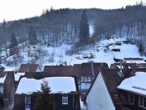 Apartment Ferienwohnung in der Nähe des Skigebietes in Zorge - Zorge - image1