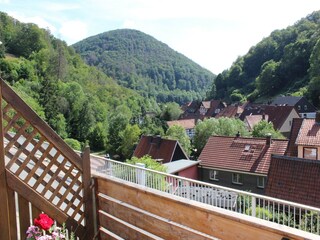 Apartment Zorge Außenaufnahme 6