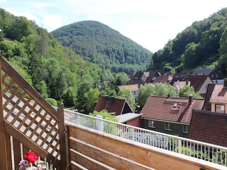 Apartment Zorge Outdoor Recording 5