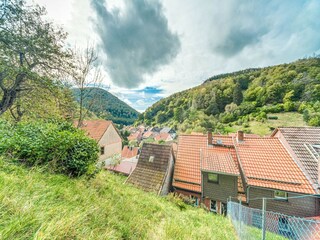 Appartement Zorge Omgeving 37
