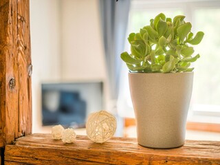 Appartement Zorge  36