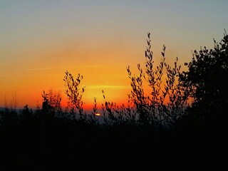 Casa per le vacanze Santa Maria degli Angeli (Assisi) Registrazione all'aperto 10