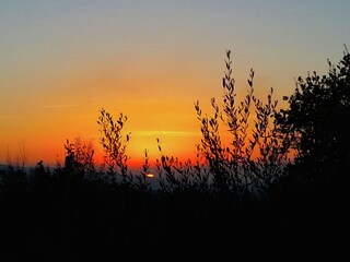 Maison de vacances Santa Maria degli Angeli (Assisi) Enregistrement extérieur 9